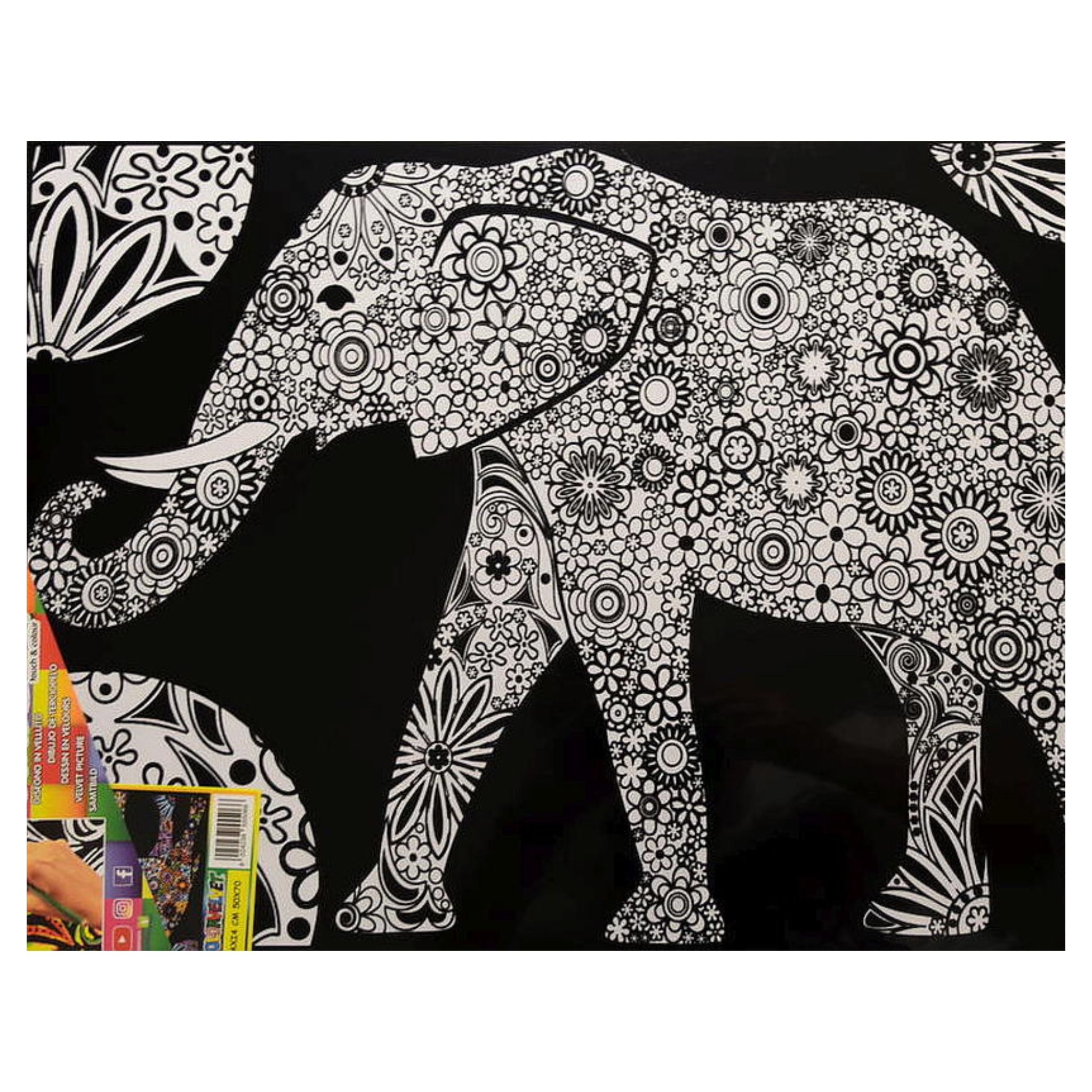 Elefant 50x 70 cm