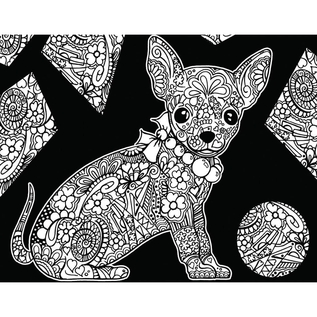 Chihuahua