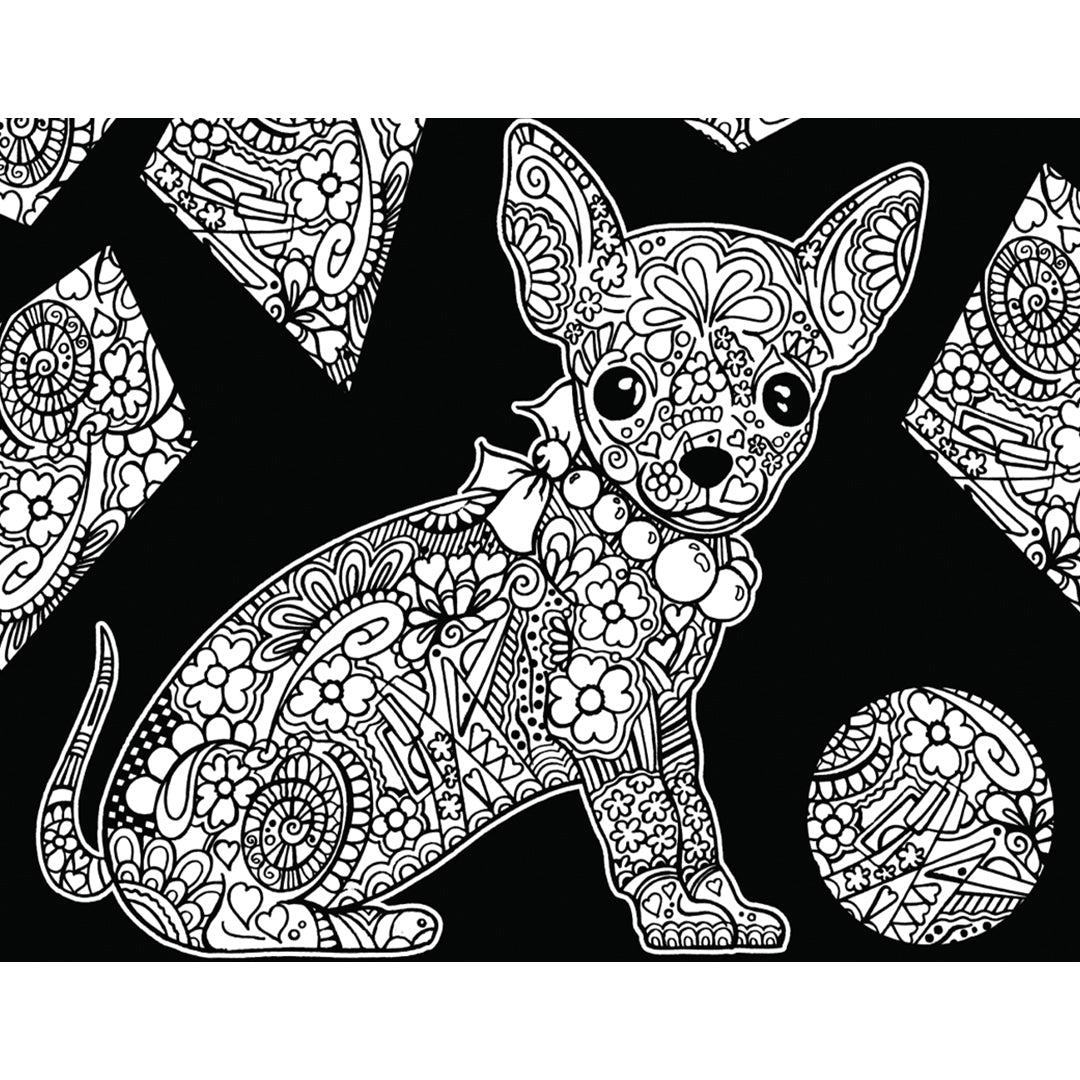 Chihuahua
